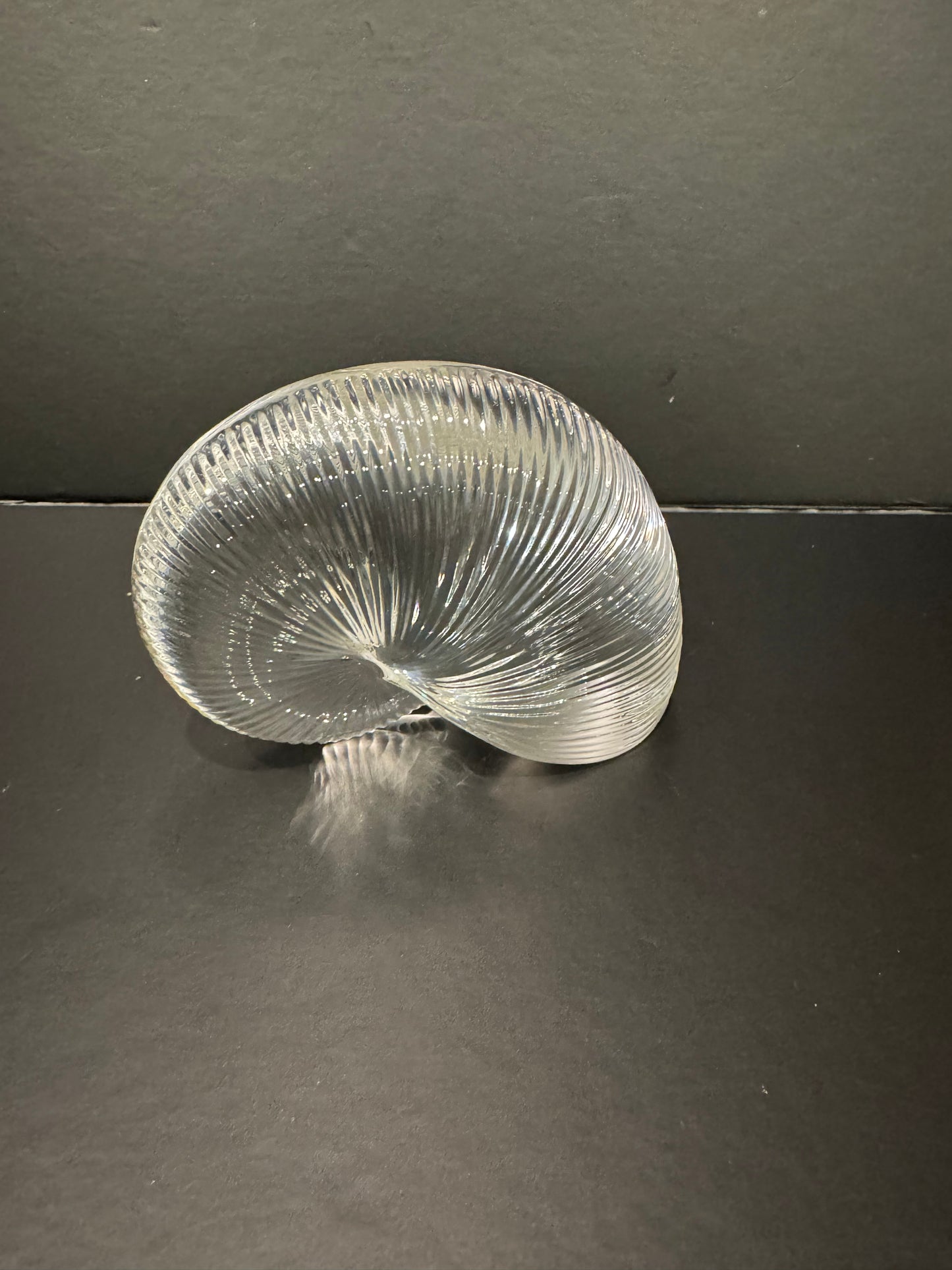Large Baccarat Nautilus