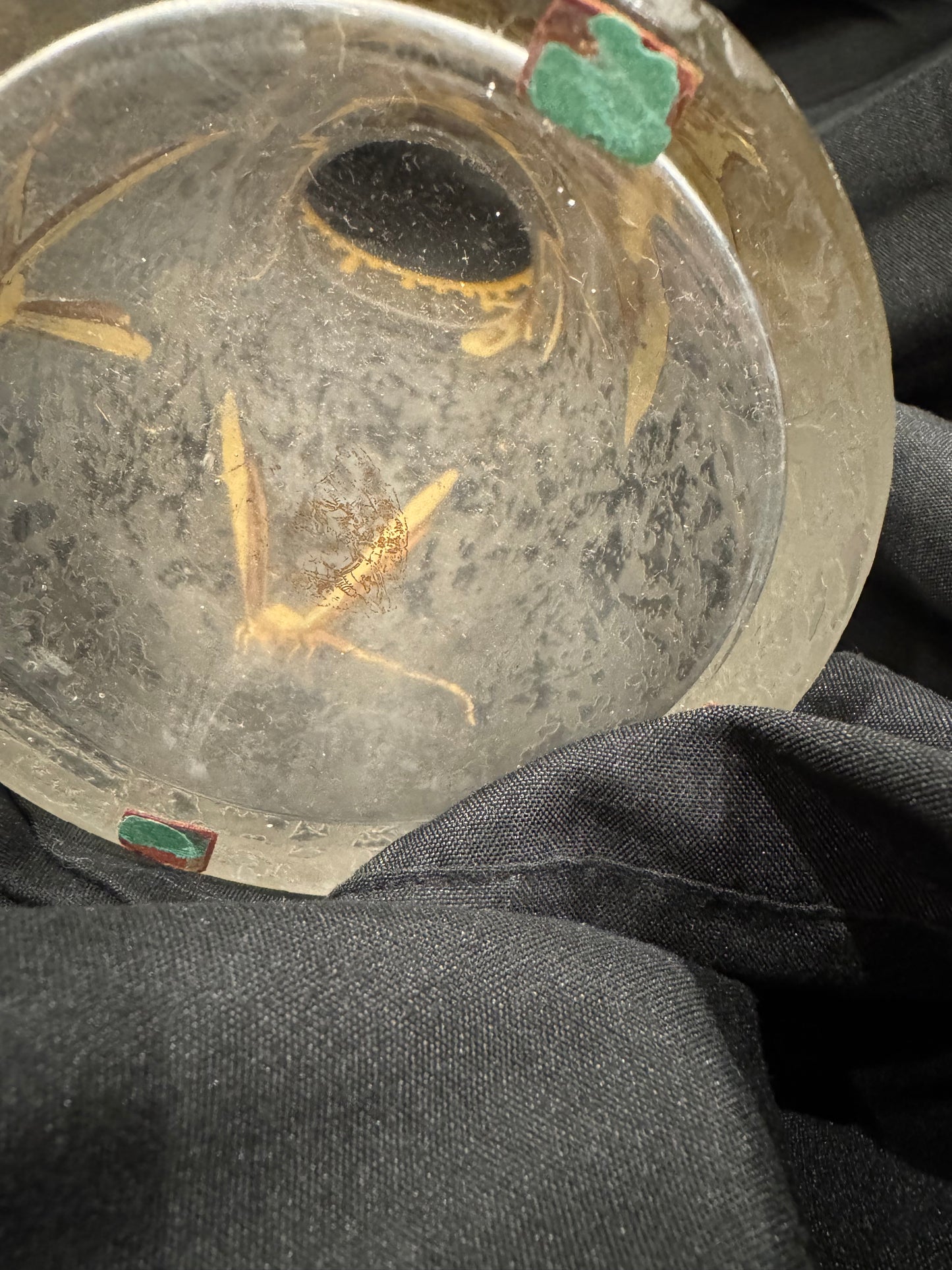 Mont Joye Cameo Glass Vase with Gilt Butterflies and Dragonflies, Circa 1900-1920