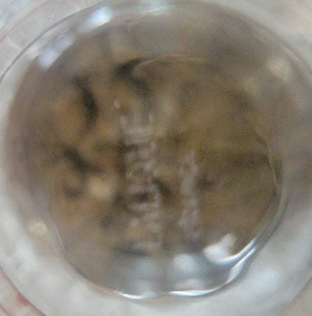 Rene Lalique France Deauville Frosted Vine Berries Pattern Glass Vase