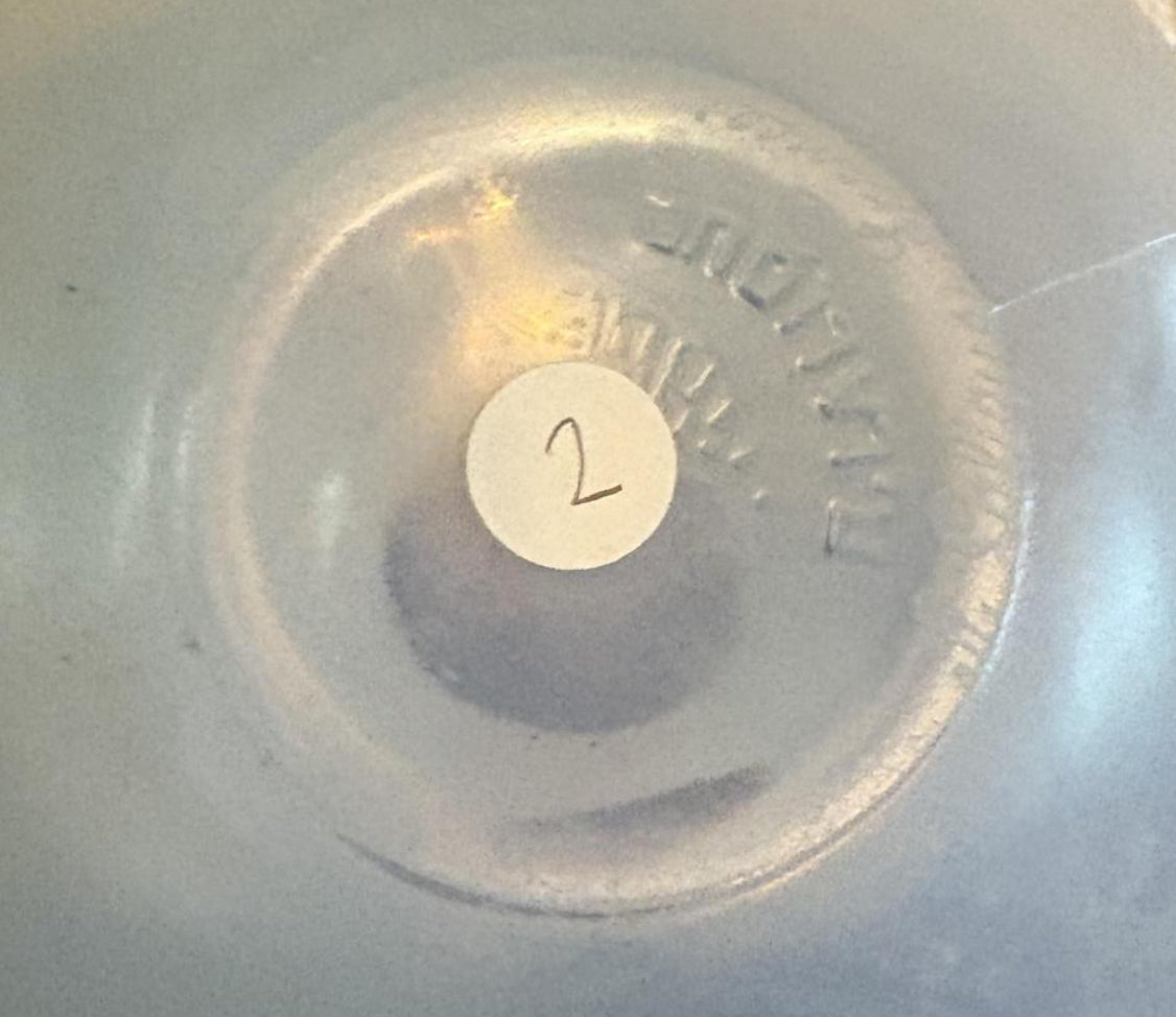 BOUCHARDON, AN R. LALIQUE FROSTED GLASS VASE WITH TWO APPLIED HANDLES