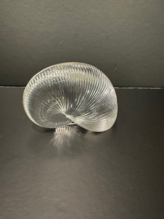 Large Baccarat Nautilus